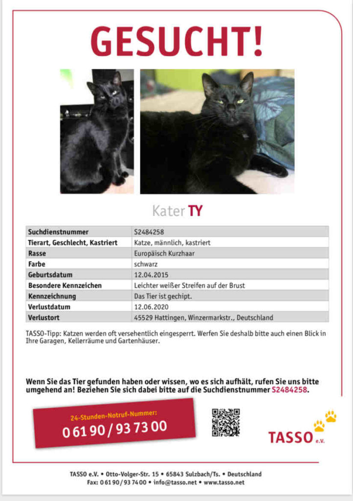 2020 06 12 Ty Entl 01 Web 722x1024